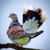 Beth Maples - Facebook