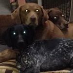 Beth Maples Clark - @maplesclark - Instagram
