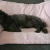 Betty Marcantonio - @bettymarcantonio_9394 - TikTok