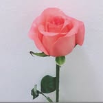 @bethmarch - Instagram