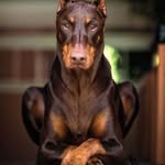Marco Beth - @marco_beth84 - Instagram