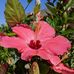 Beth Marcotte - Facebook