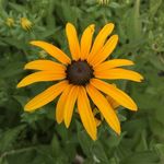 Beth Marion - @bethmarion0717 - Instagram