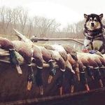 Beth Markley - @bethannmarkley1 - Instagram