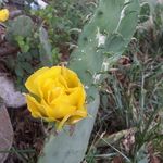 Beth Marks - @beppie326 - Instagram