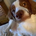 Beth Marks-whitehead - Facebook