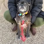 Beth Marlin - @bethie0707 - Instagram