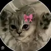 BethMarr123 - @beth123118 - TikTok