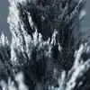 Bethany Marriott - @vien547 - TikTok