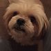 Beth Marsh - Facebook