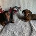 Beth Marshall - Facebook