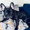 bethmarshall64 - @beth.marshall277 - TikTok