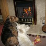 Betty Martindale - @martindale4307 - Instagram