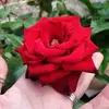 Betty Martinelli - @betty.martinelli - TikTok