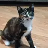 bethmartinico - @bethmartinico - TikTok