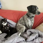 beth marvin - @oogeyvandammewaylon - Instagram