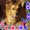 Beth Mashburn849 - @bethmashburn849 - TikTok