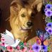 Beth Mashburn - Facebook
