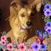 Beth Mashburn - Facebook