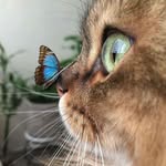 Beth Massaro - @beth_massaro - Instagram