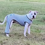 Beth Lakey-Masters - @bodi_bobo - Instagram