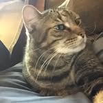 Beth Mathias - @beth.mathias.52 - Instagram