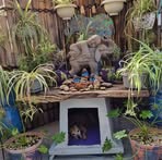 Beth Mathieson - Facebook