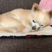 Elizabeth Matsuda Shiroma - Facebook