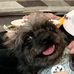 Elizabeth Matzke - Facebook