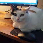 Beth Mauldin - @mauldin.beth - Instagram