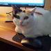 Beth Mauldin - Facebook