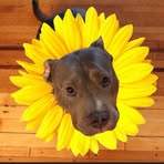 Beth Maurice - Facebook