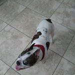 Beth Mauro - @bethmauro3282 - Instagram
