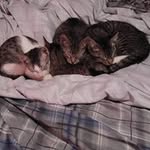 Beth Long-Bryant Maxey - @longbryantmaxey - Instagram