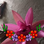 Beth De Mayo - Facebook