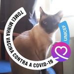 Beth Mayo - @bethvieira06 - Instagram