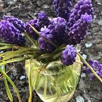 Beth Mayo - @bethmayo1 - Instagram