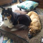 Beth Mays - @beth.mays.165685 - Instagram