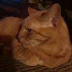Beth Mazurek Hare - @bethmazurekhare - Instagram