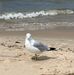 Beth Mazurek Hare - Facebook