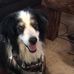 Beth McAbee - Facebook