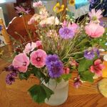 Betty McAlpine - @mcalpine390 - Instagram