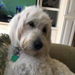 Betty McAlpine - @bettygolfer08 - Instagram