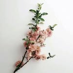 Beth McCallum - @beth._._._1 - Instagram