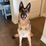 Bethany Mccandless Barquer - @mccbethany - Instagram