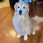 Beth McCartney - @b_mccartney6718 - Instagram