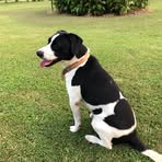 Beth McCarver - Facebook