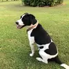 bethmccarver345 - @bethmccarver345 - TikTok