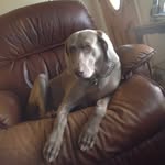 Betty McCaskill - @bettytickel - Instagram
