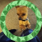 Beth Mcclanahan - Facebook